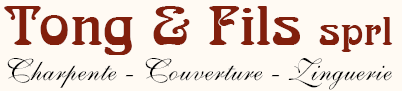 logo de la société Tong et Fils