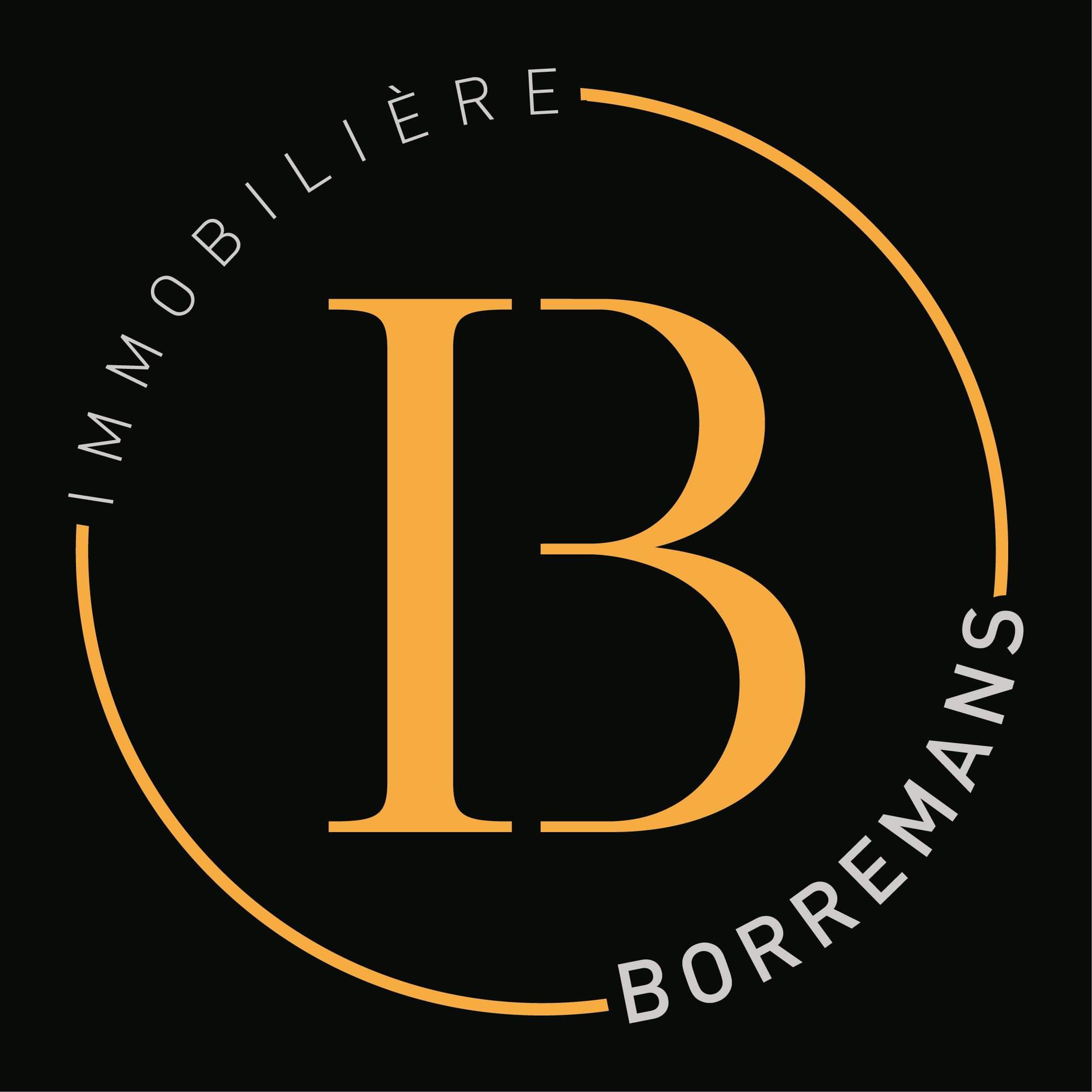 Logo de l'agence immobilière Borremans
