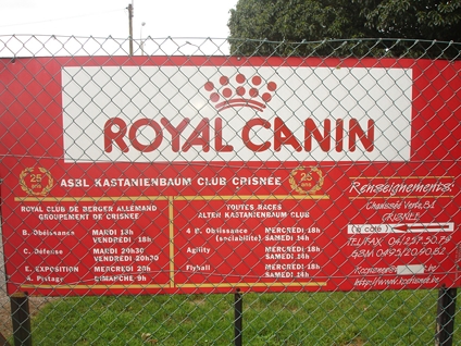 photo du panneau d'information en devanture du club canin
