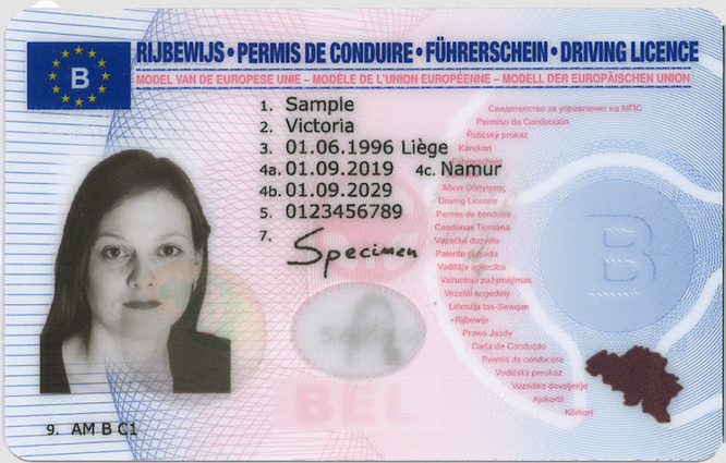 illustration d'un permis de conduire belge définitif
