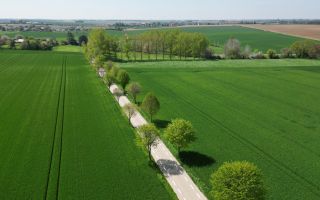 Une voirie à voie centrale