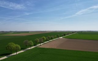 Une voirie à voie centrale